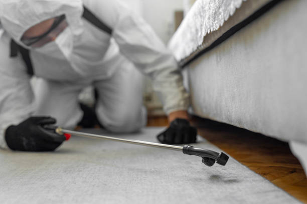 Professional Mosquito Control technician working in Westworth Village, TX