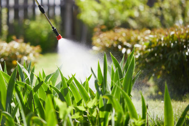 24/7 Emergency Mosquito Control experts in Westworth Village, TX