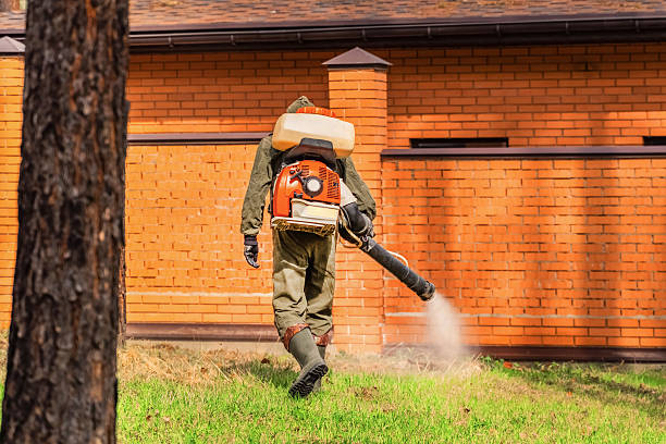 Trusted Termite Control service in Westworth Village, TX - Nex Pest Control